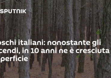 Boschi italiani: nonostante gli incendi, in 10 anni ne è cresciuta la superficie - Sputnik