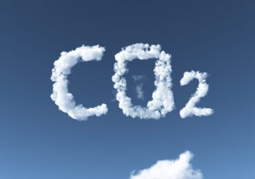 Dagli scarti del cocco il supercapacitor che <b>cattura</b> la <b>CO2</b> - Rinnovabili.it