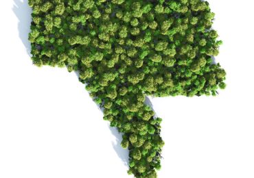 Da green a clean: ecco come la Ue cambia strada per l'ambiente - Il Mattino
