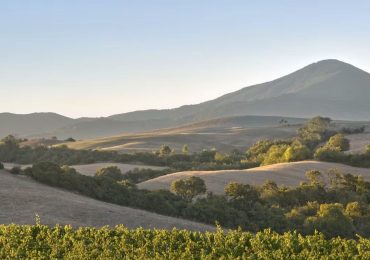 Nella Tenuta Marchesi Ginori Lisci un nuovo impianto di produzione di biometano e bio-<b>Co2</b>