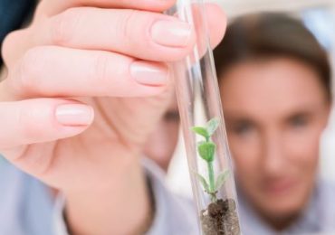 Microalghe e funghi: la strategia dei Biologi siciliani per una nuova economia sostenibile