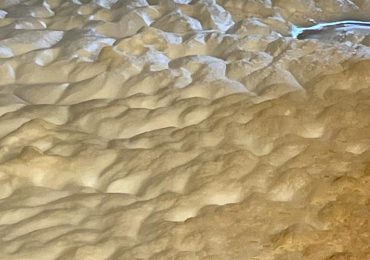 Birrifici a basse emissioni di <b>CO2</b>: le tecnologie del futuro - Giornale della Birra