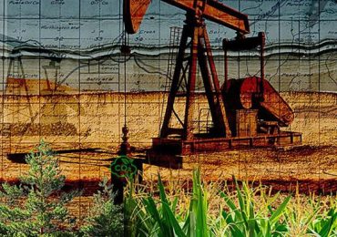 Nuovo Bio-Olio: La Soluzione Innovativa per Sequestrare Carbonio - Scienze Notizie
