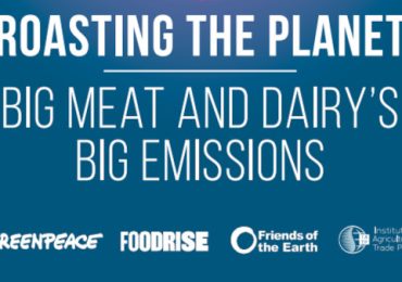 Agroalimentare. Greenpeace: le maggiori aziende di carne e latticini generano oltre 1mld di ...