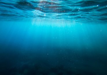 L'oceano? Ormai è un WC gigante che non riesce più a funzionare (per colpa del calore)