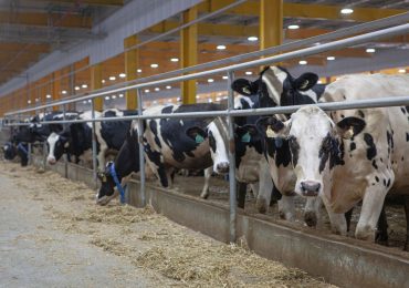 <b>Emissioni</b> record dalle aziende di carne e latticini: oltre un miliardo di tonnellate di CO₂